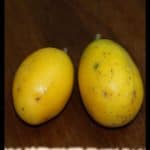 Ambarella fruit