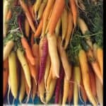 Carrot plant
