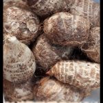 Colocasia esculenta