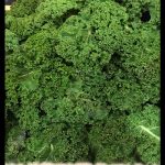 Curly Kale