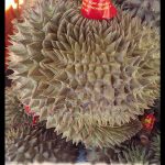 Durian