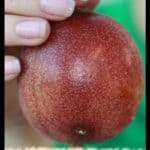 Passion fruit