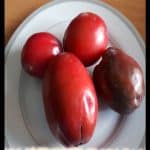 Peruvian apple cactus